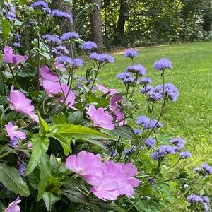 Meet your Posher, Kris